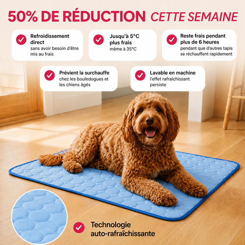 Tapis Rafraichissant pour chiens et chats