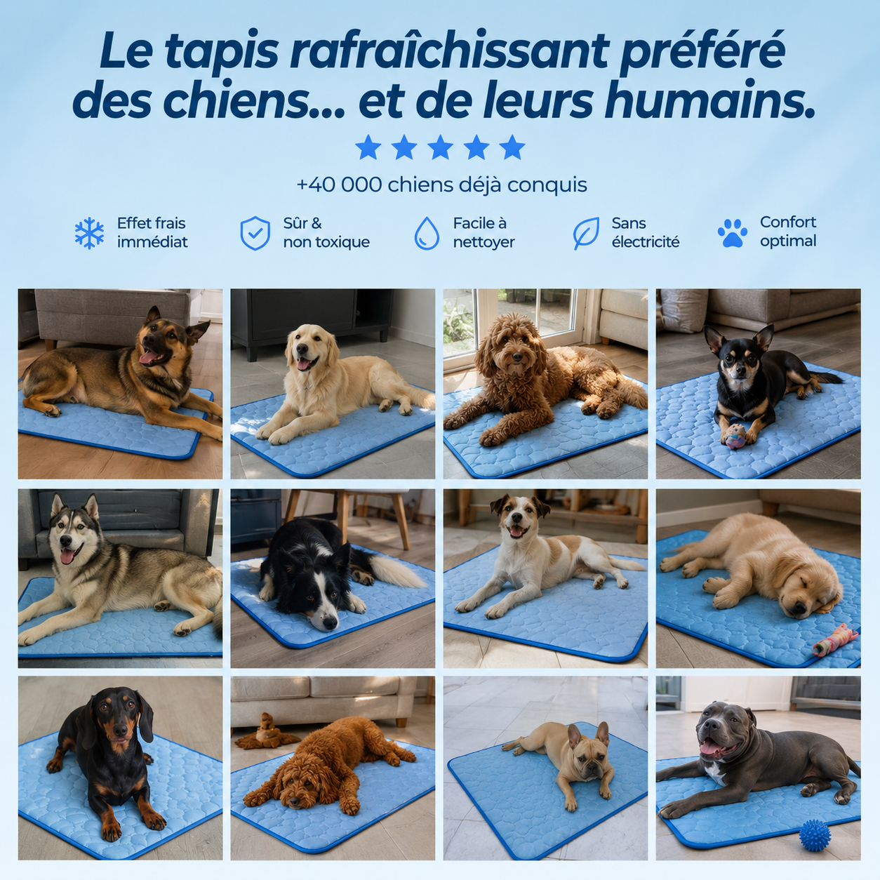 Tapis Rafraichissant pour chiens et chats