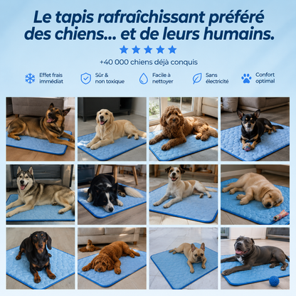 Tapis Rafraichissant pour chiens et chats