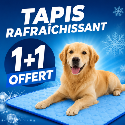 Tapis Rafraichissant pour chiens et chats