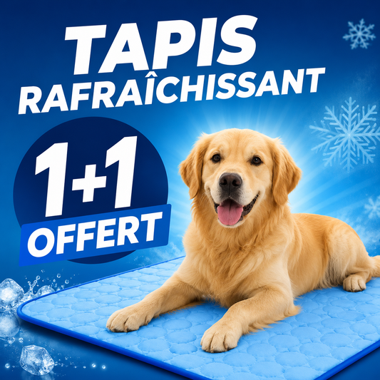 Tapis Rafraichissant pour chiens et chats