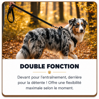 Harnais Anti-Traction