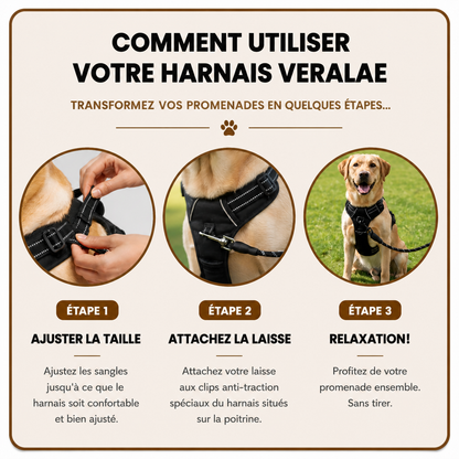 Harnais Anti-Traction