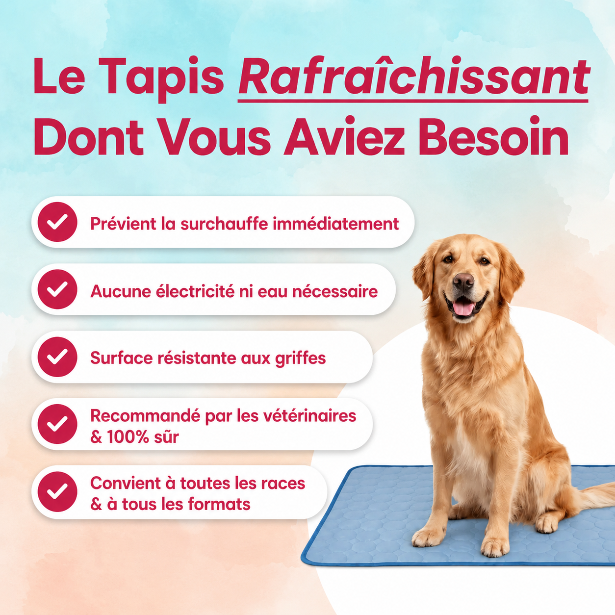 Tapis Rafraichissant pour chiens et chats