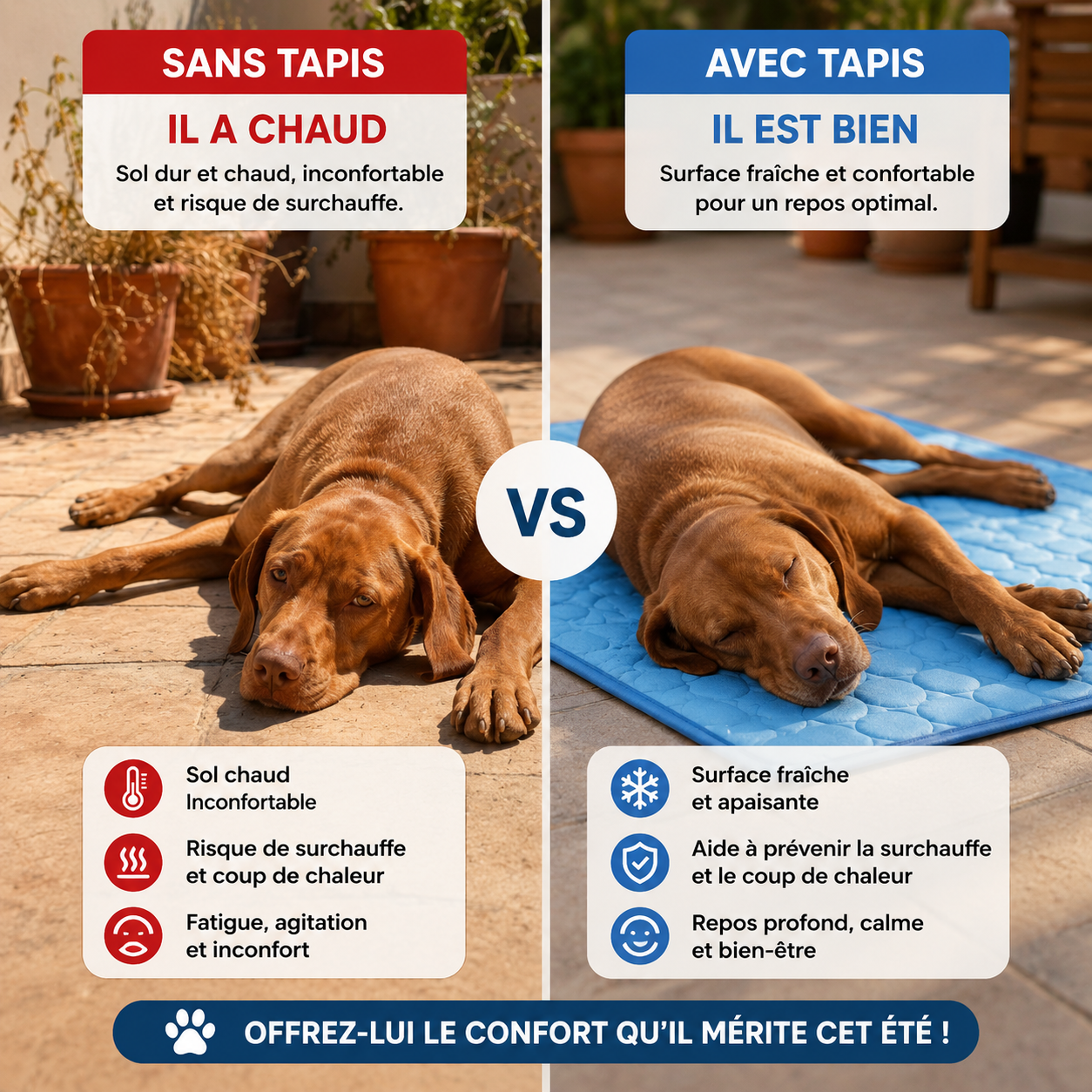Tapis Rafraichissant pour chiens et chats