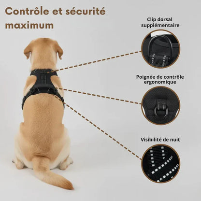 Harnais Anti-Traction